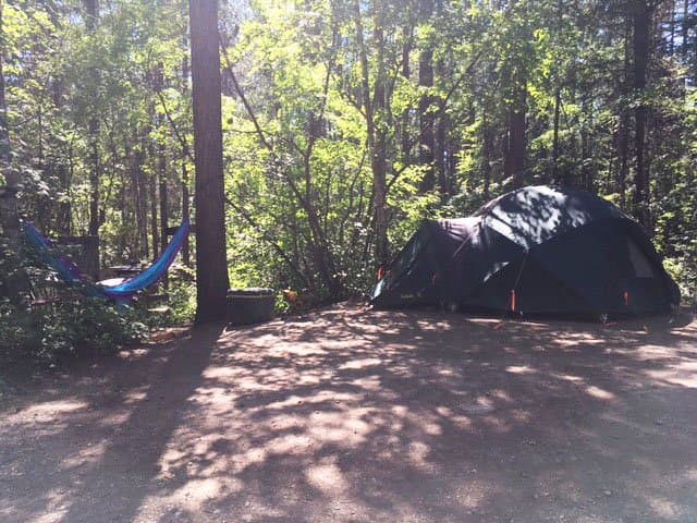 Glacier Campground (West Glacier, Montana) photo
