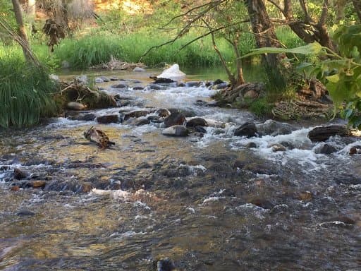 Oak Creek Mobilodge (Sedona, Arizona) photo