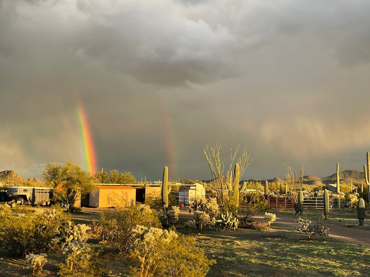 China Cabinet Ranch (Tucson, Arizona) photo