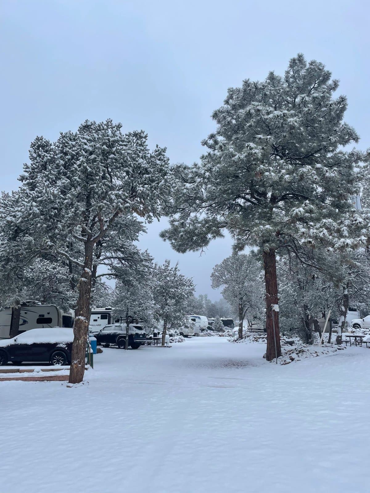 Mountaindale Cabins & RV Resort (Colorado Springs, Colorado) photo