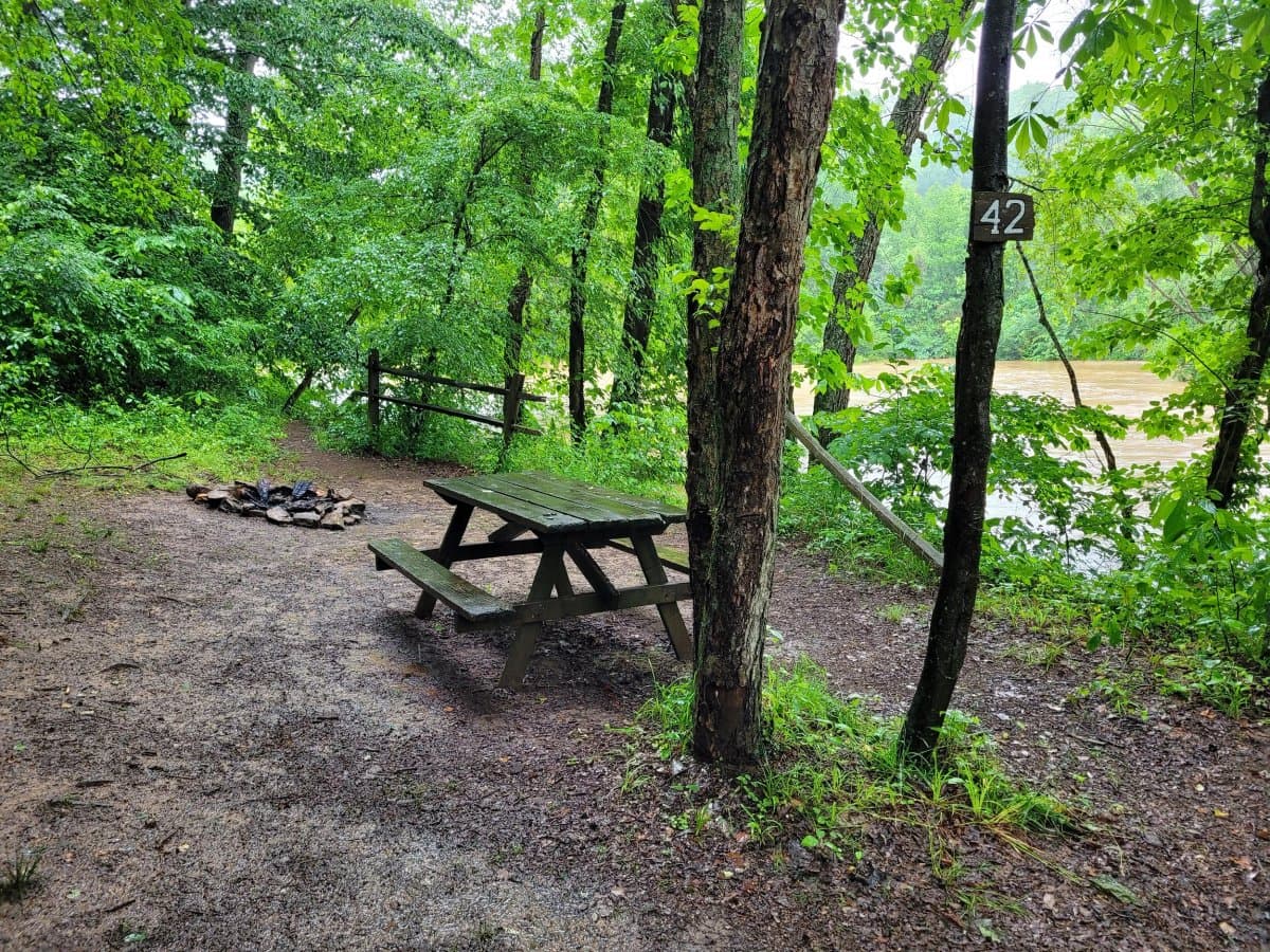 Rappahannock River Campground (Richardsville, Virginia) photo