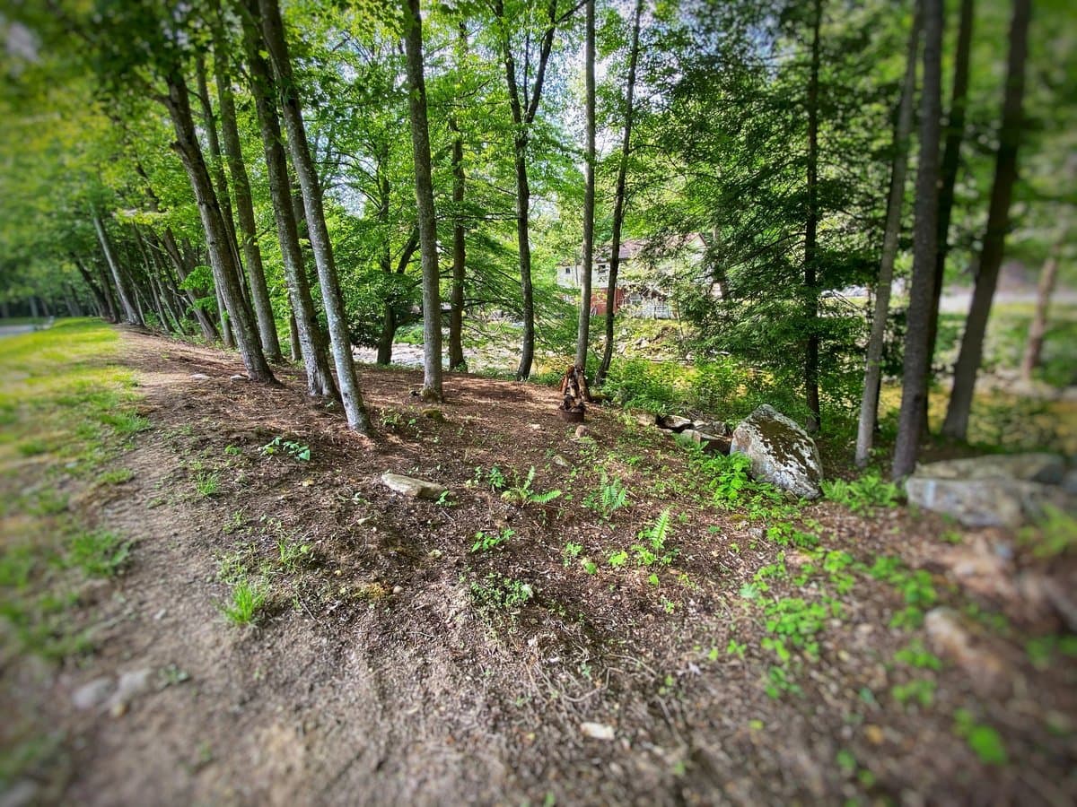 Camp Holly (Diana, West Virginia) photo