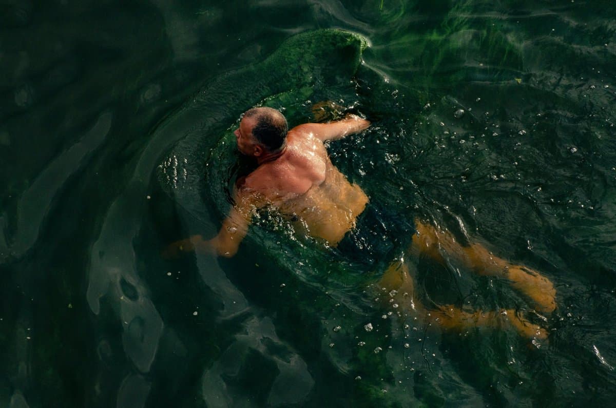 Big Sur Campground & Cabins (Big Sur, California) photo