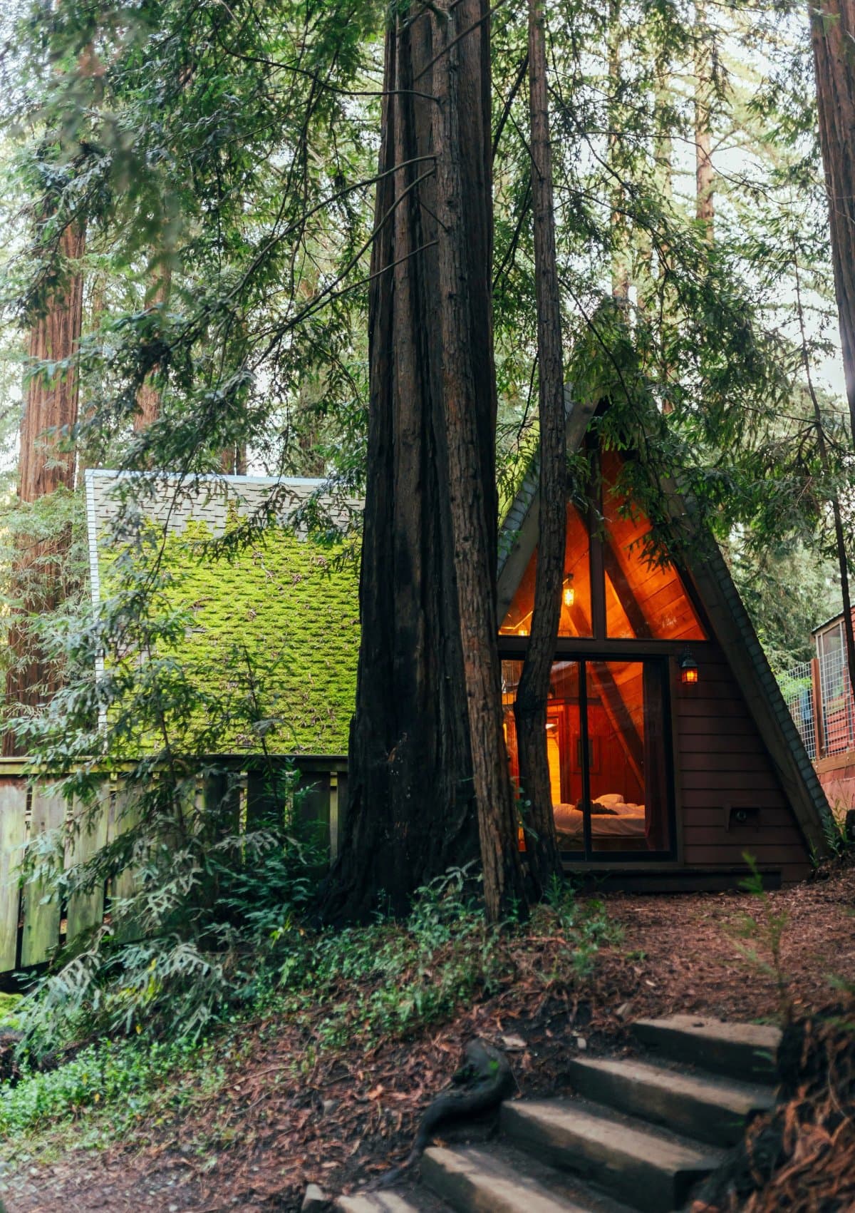 Big Sur Campground & Cabins (Big Sur, California) photo