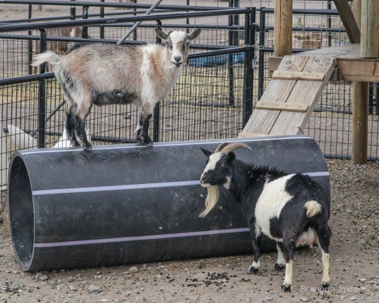 Monroe Canyon RV Park (Monroe, Utah) photo