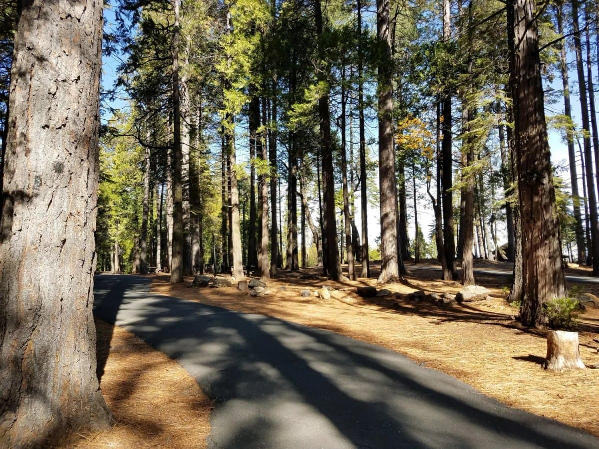 Golden Pines RV Resort and Campground - Arnold, CA (Arnold, California) photo