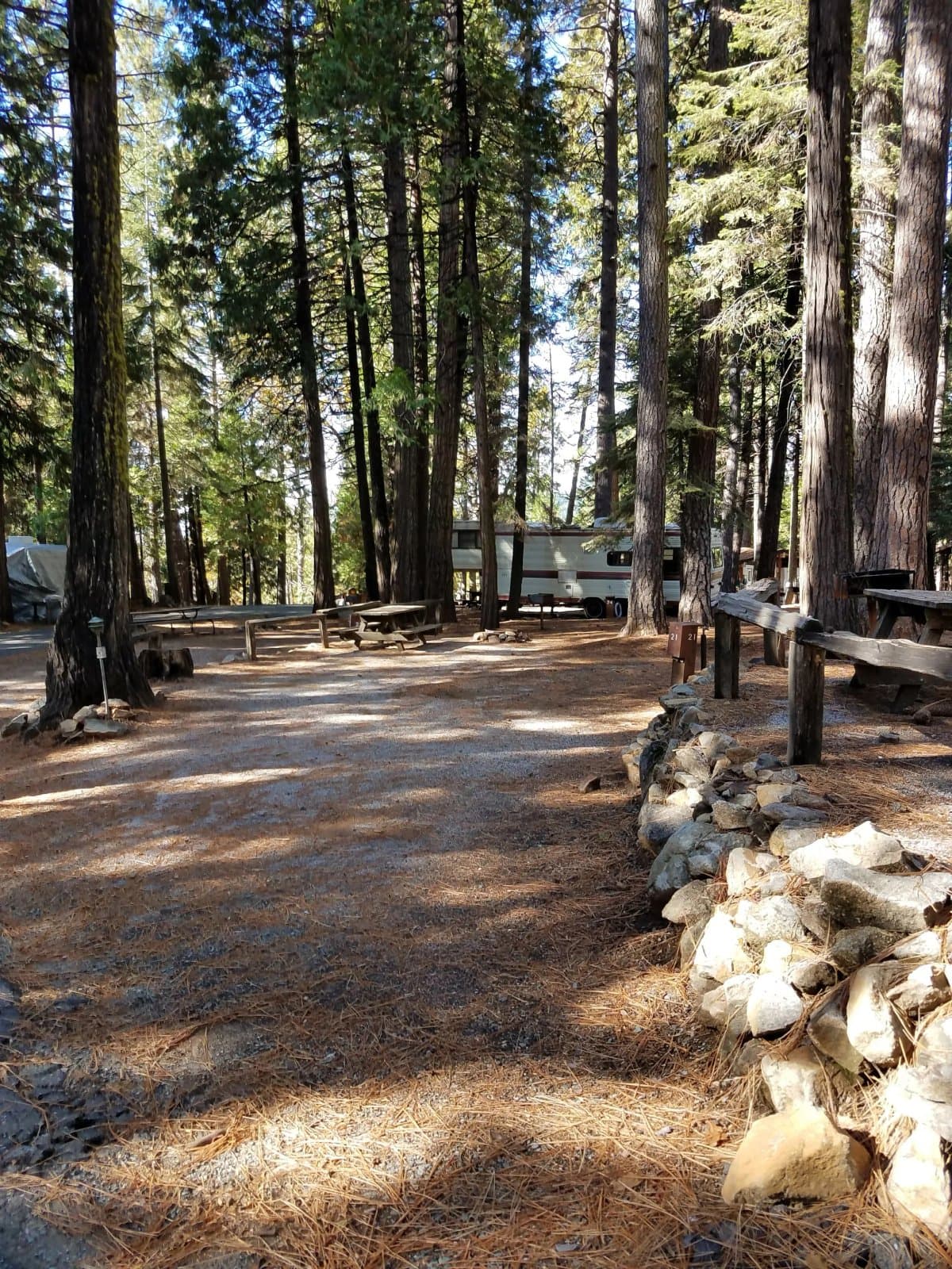 Golden Pines RV Resort and Campground - Arnold, CA (Arnold, California) photo