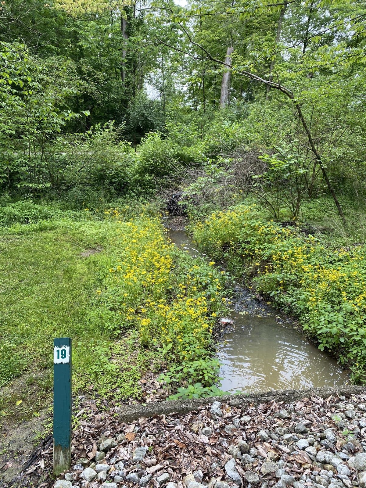 Beechwood Acres Camping Resort (Wilmington, Ohio) photo