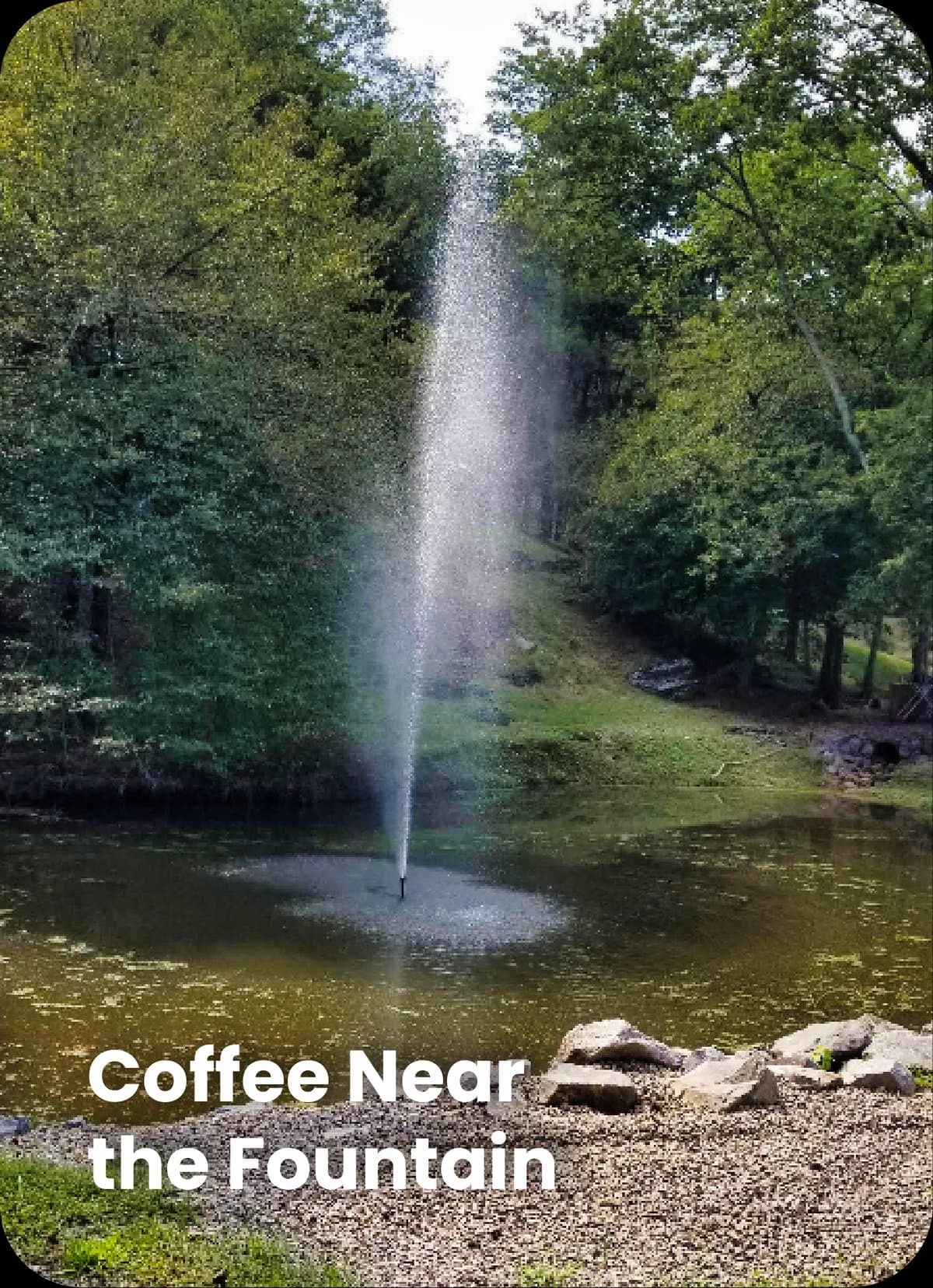 J & J RV Park & Storage (Hot Springs, Arkansas) photo