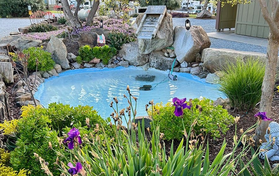 Lemon Cove Village RV Park Campground (Lemon Cove, California) photo