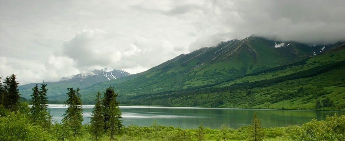 Tok RV Village Campground & Cabins