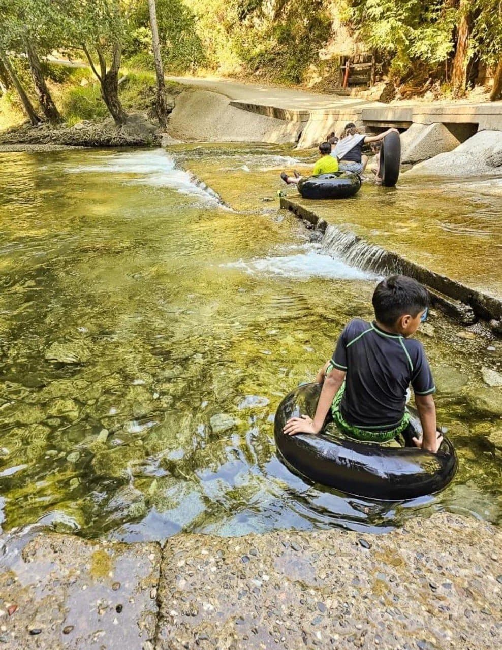 Riverside Campground & Cabins (Big Sur, California) photo