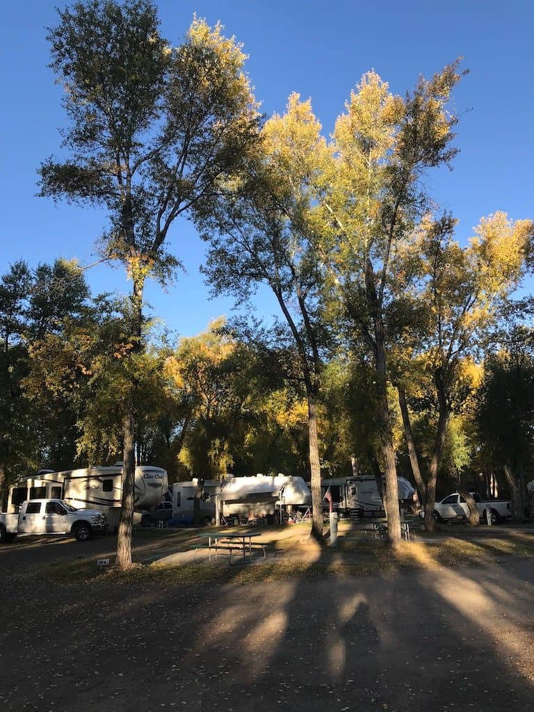 Tall Texan RV Park and Cabins (Gunnison, Colorado) photo