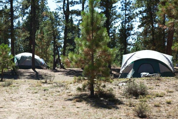 Ruby's Inn RV Park & Campground (Bryce Canyon City, Utah) photo