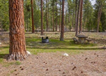 Three Frogs Campground