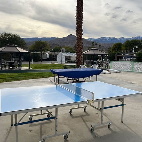 Cathedral Palms RV Resort (Cathedral City, California) photo