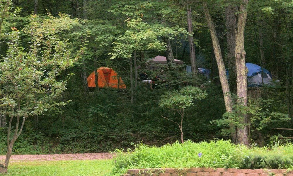 Montebello Camping & Fishing Resort (Montebello, Virginia) photo