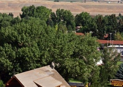 Ponderosa Campground (Cody, Wyoming) photo