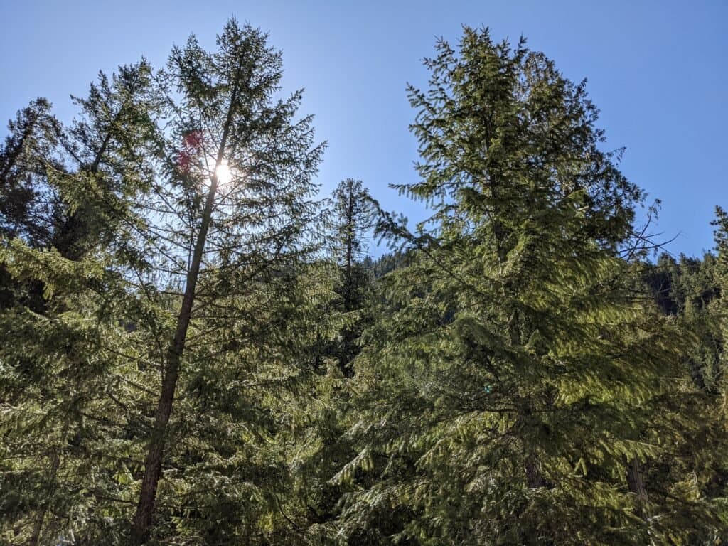 Alpine RV Park & Campground (Leavenworth, Washington) photo