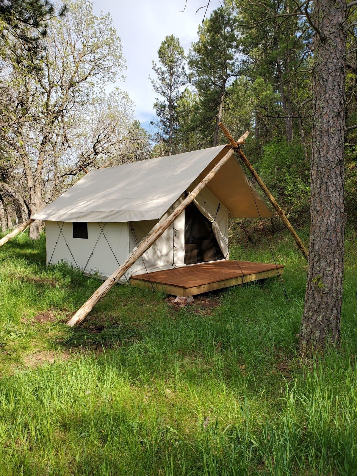 Bear Den Cabins & Camp (Hermosa, South Dakota) photo