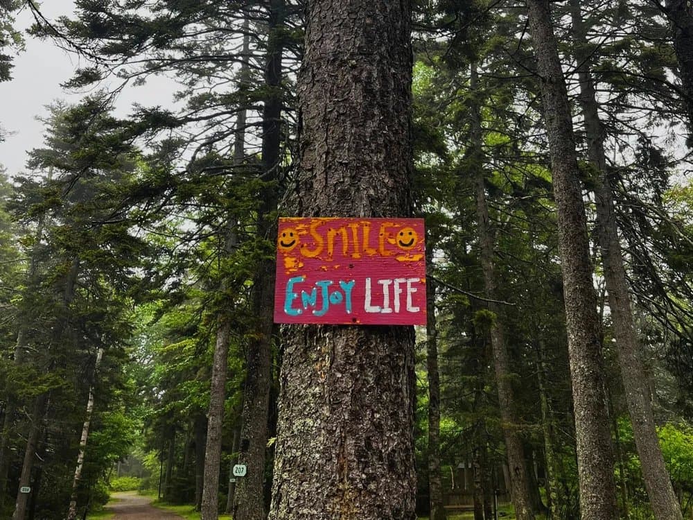Bass Harbor Campground (Bass Harbor, Maine) photo