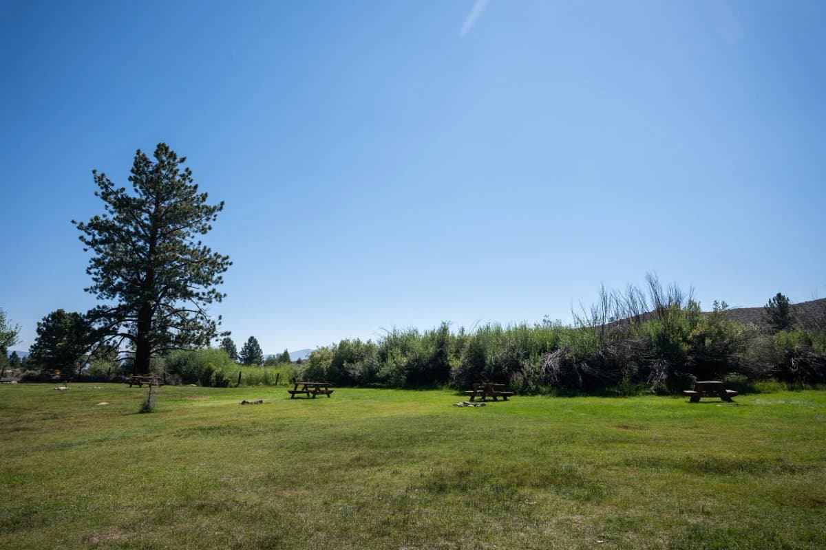 Hunewill's Doc and Al's Resort (Bridgeport, California) photo