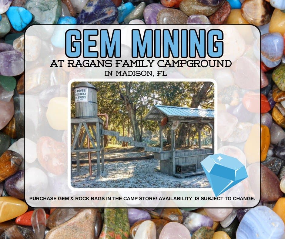 Ragans Family Campground (Madison, Florida) photo