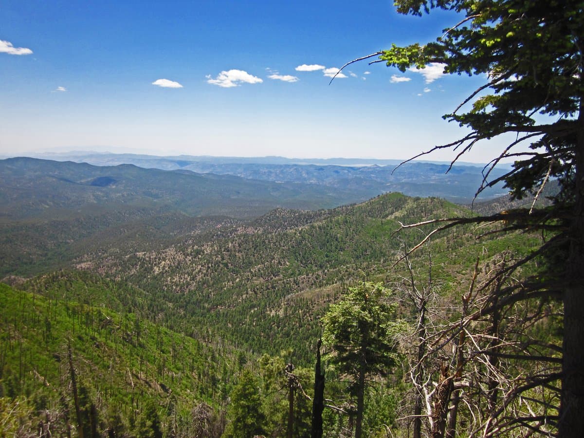 Fort Tuthill County Campground (Flagstaff, Arizona) photo