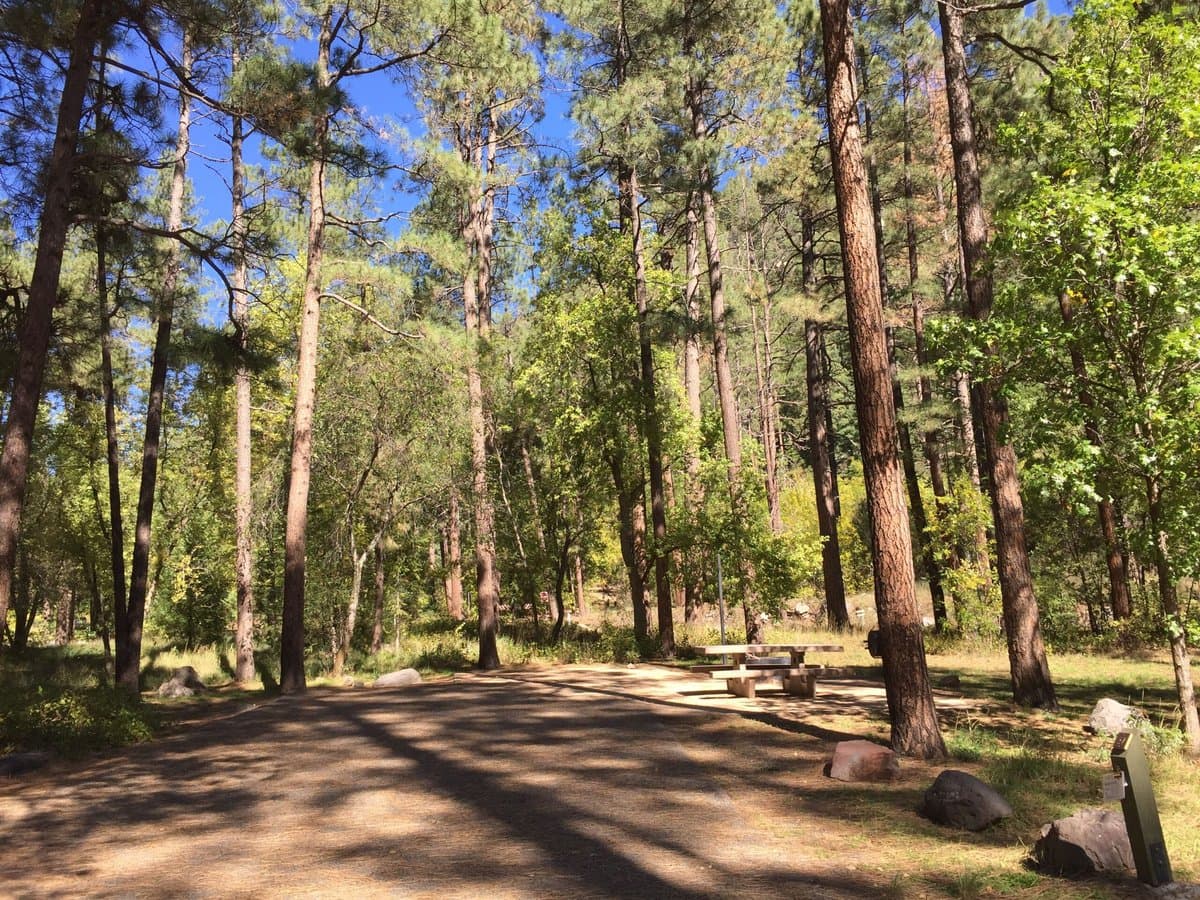 Fort Tuthill County Campground (Flagstaff, Arizona) photo