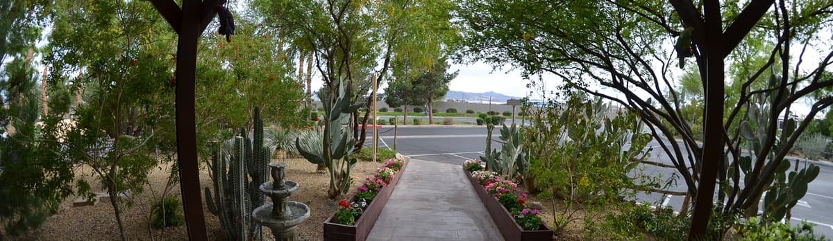 Duck Creek RV Park (Las Vegas, Nevada) photo