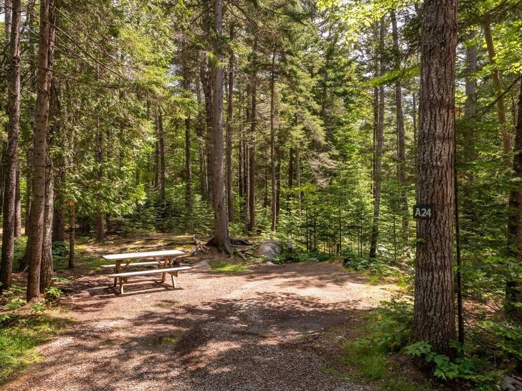 Mount Desert Campground