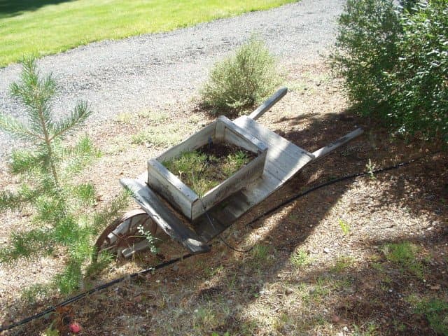 Big Pines RV Park (Crescent, Oregon) photo