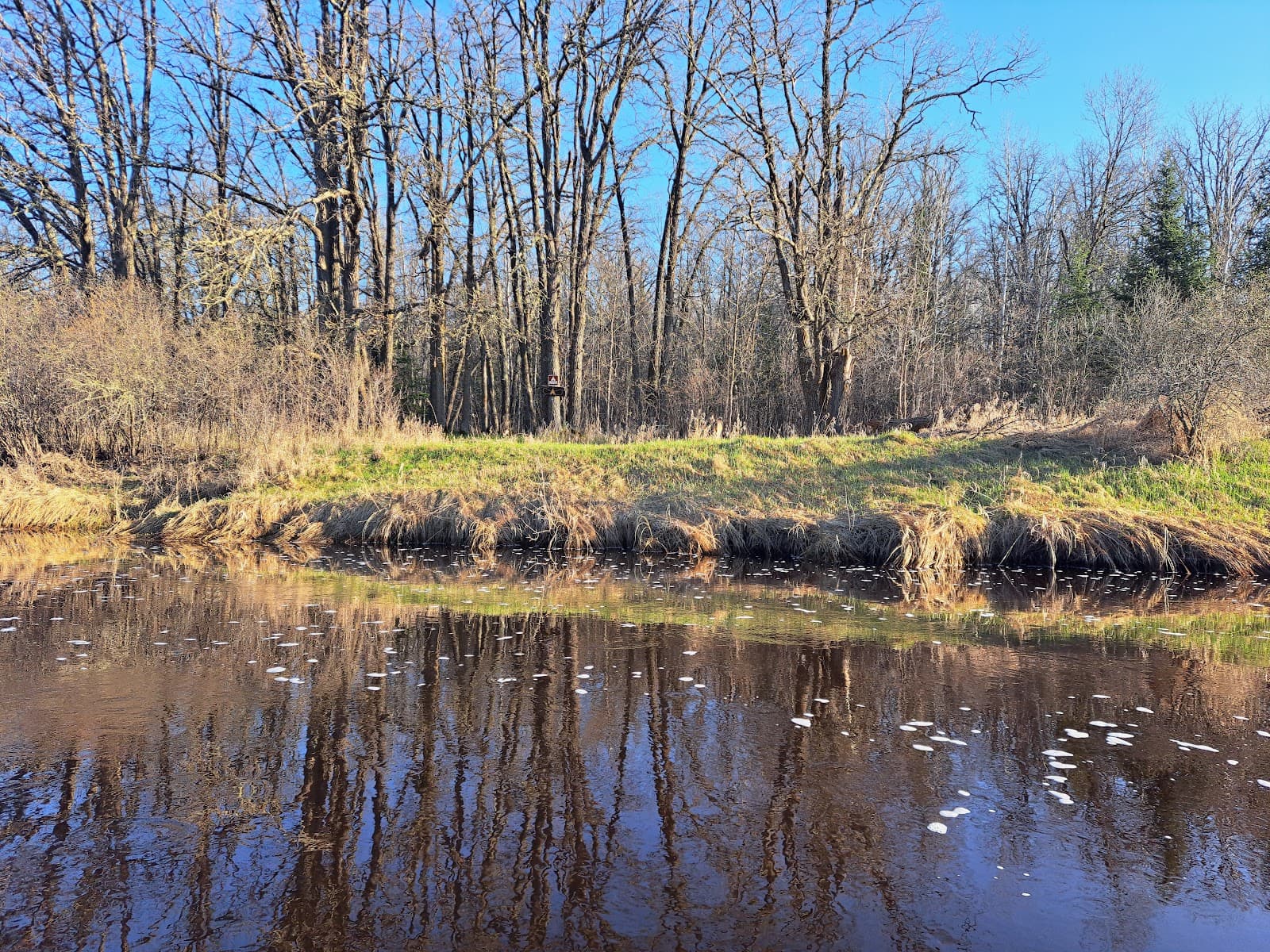 Busticogan Watercraft Campsite