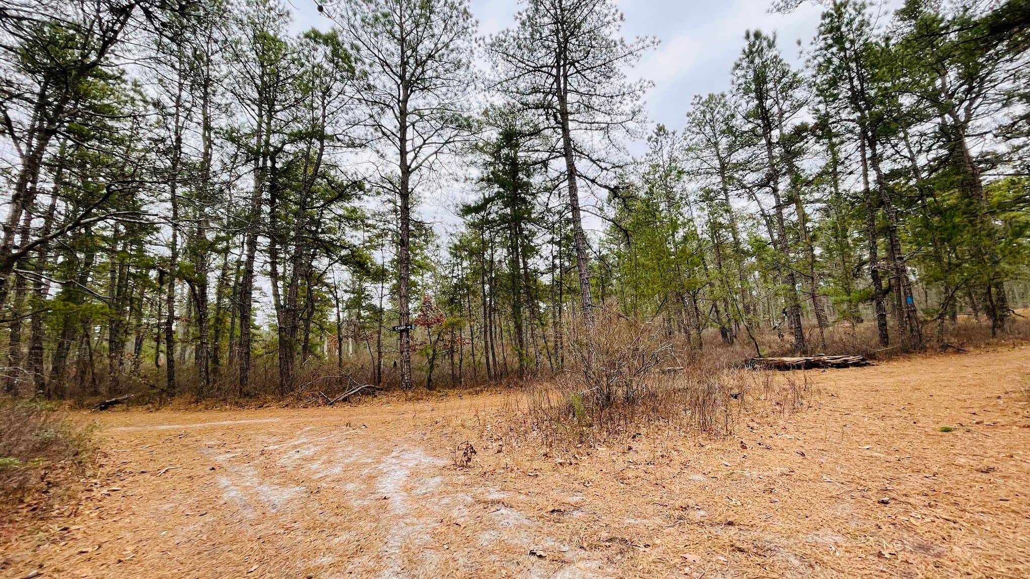 Buttonwood Hill Campsite