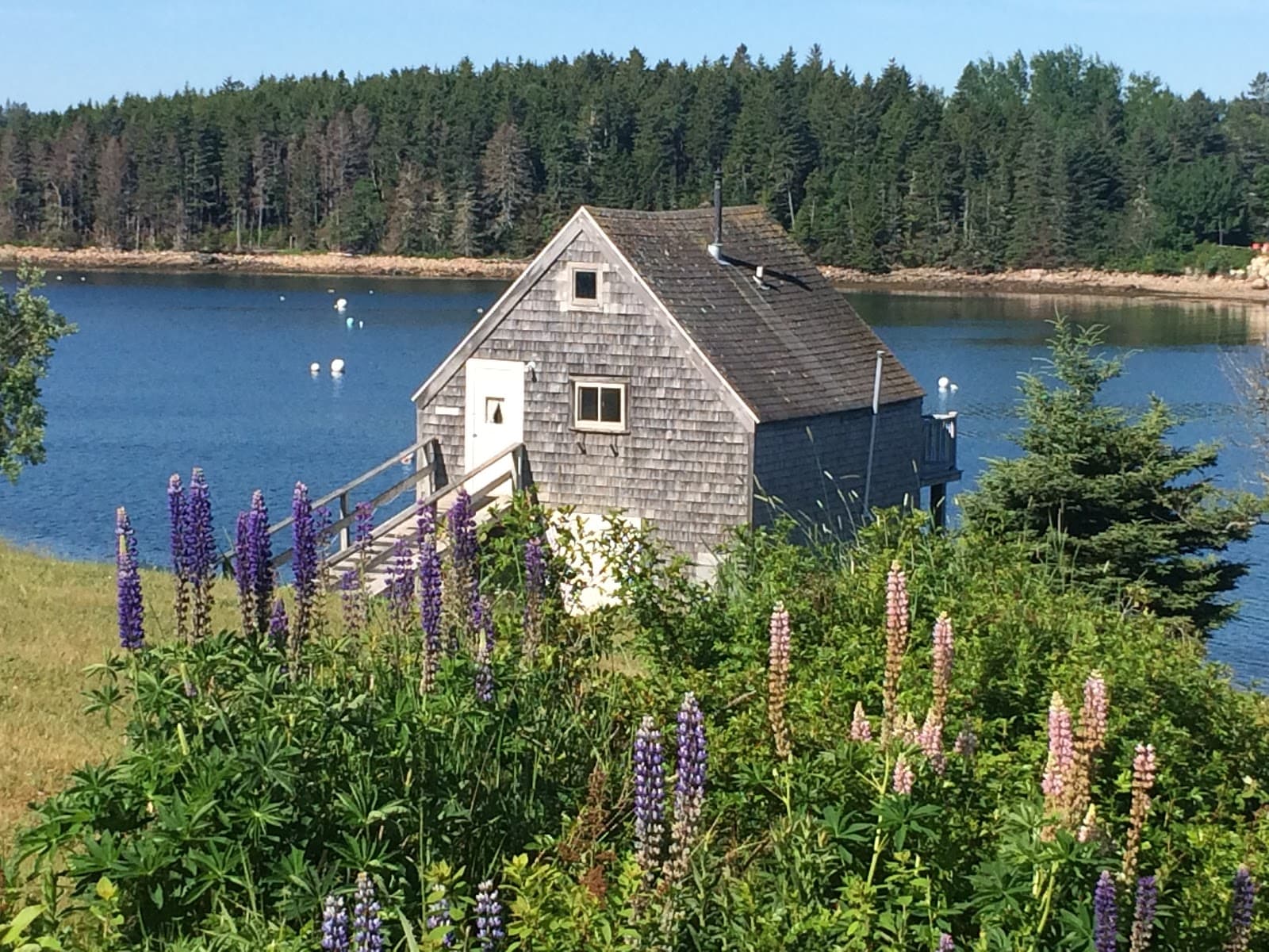 MainStay Cottages & RV Park