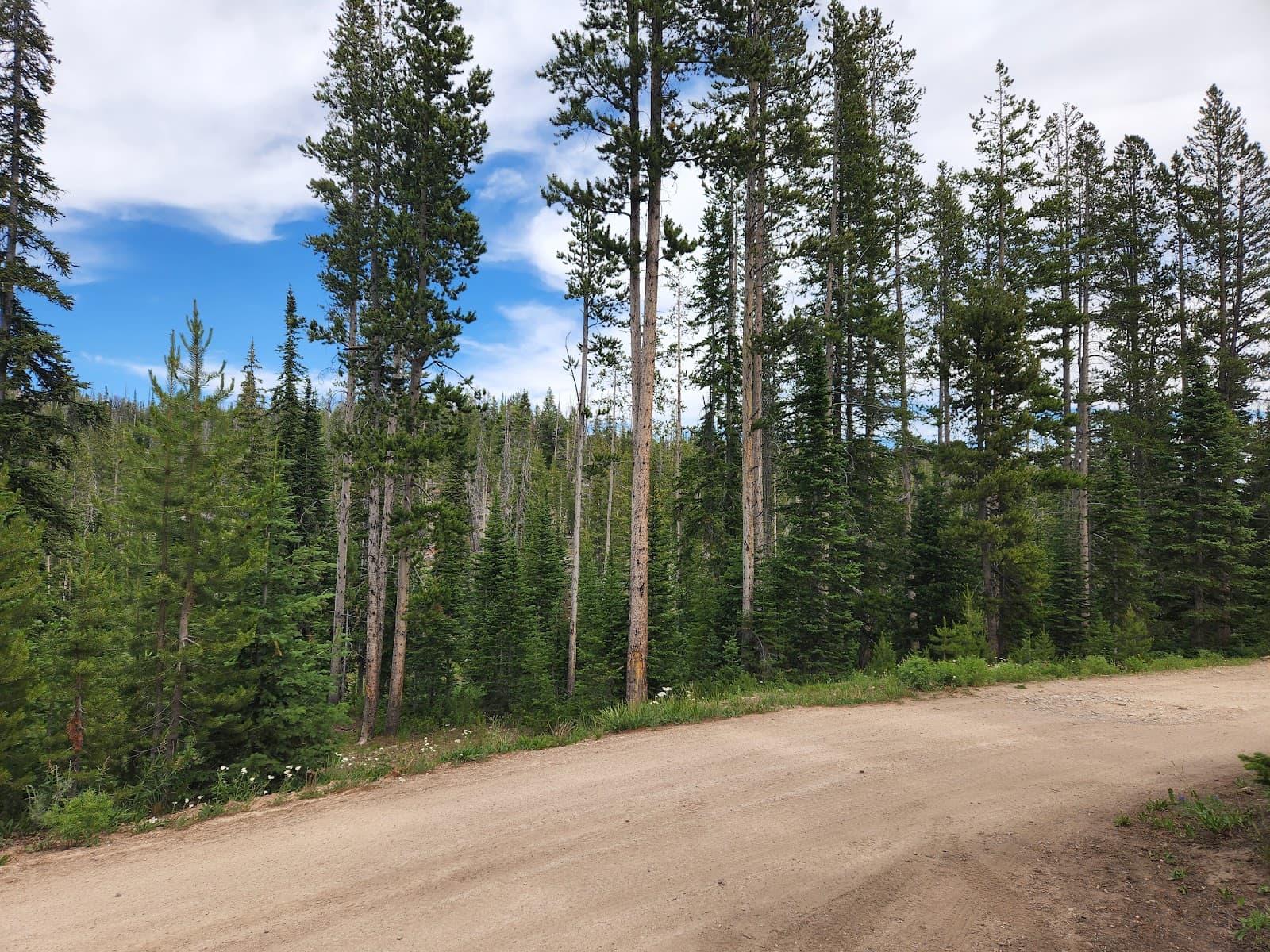 Big Bayhorse Campground