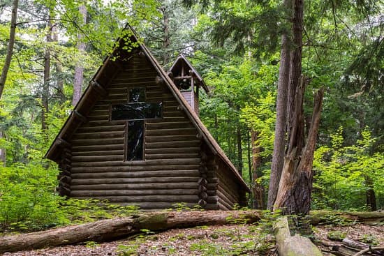 Hartwick Pines State Park Campground