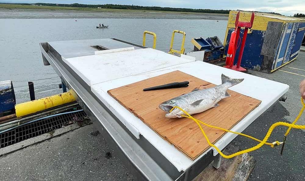 Kasilof Dock RV Park