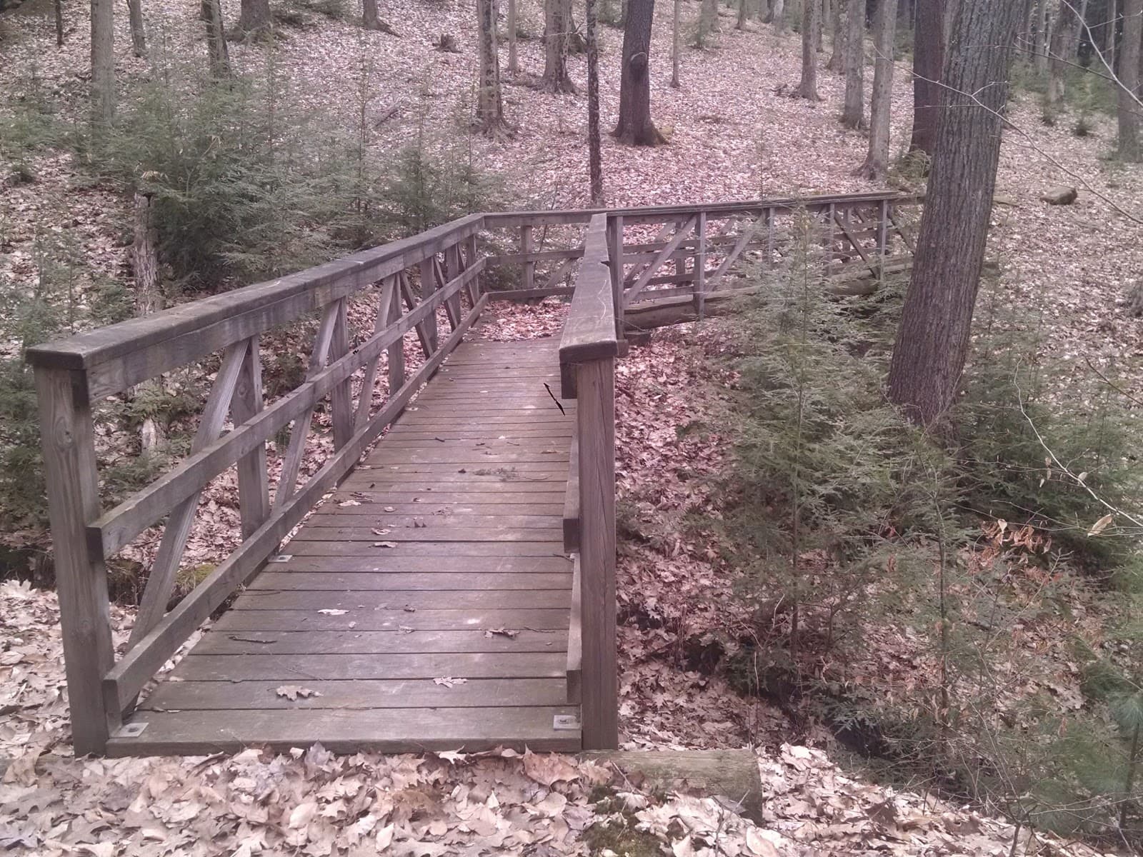 Handsome Lake Campground