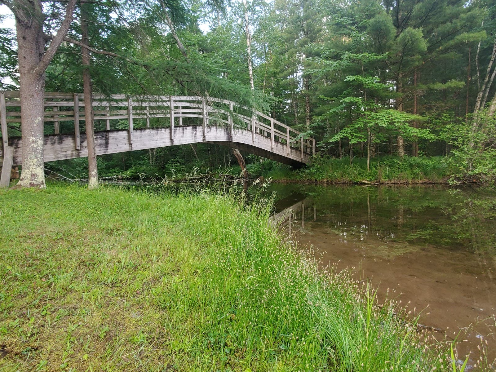Camp Bird Youth Center