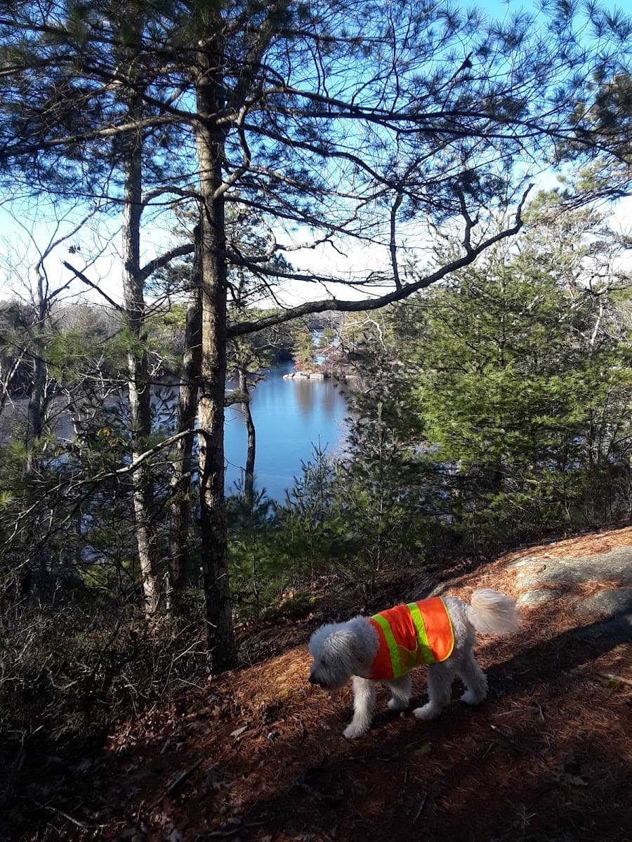 Campsite Donald Dewing