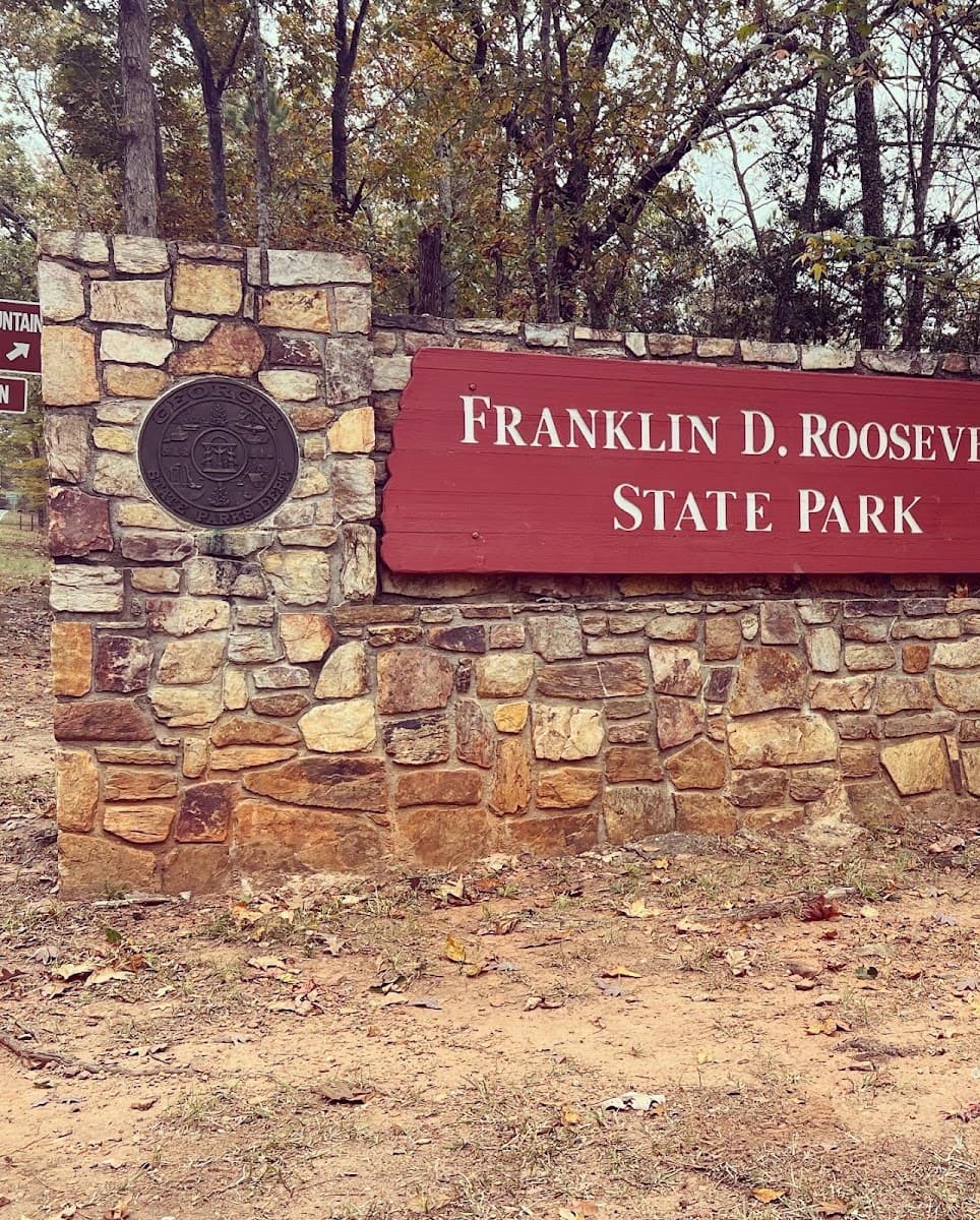 Jenkins Springs Campsite