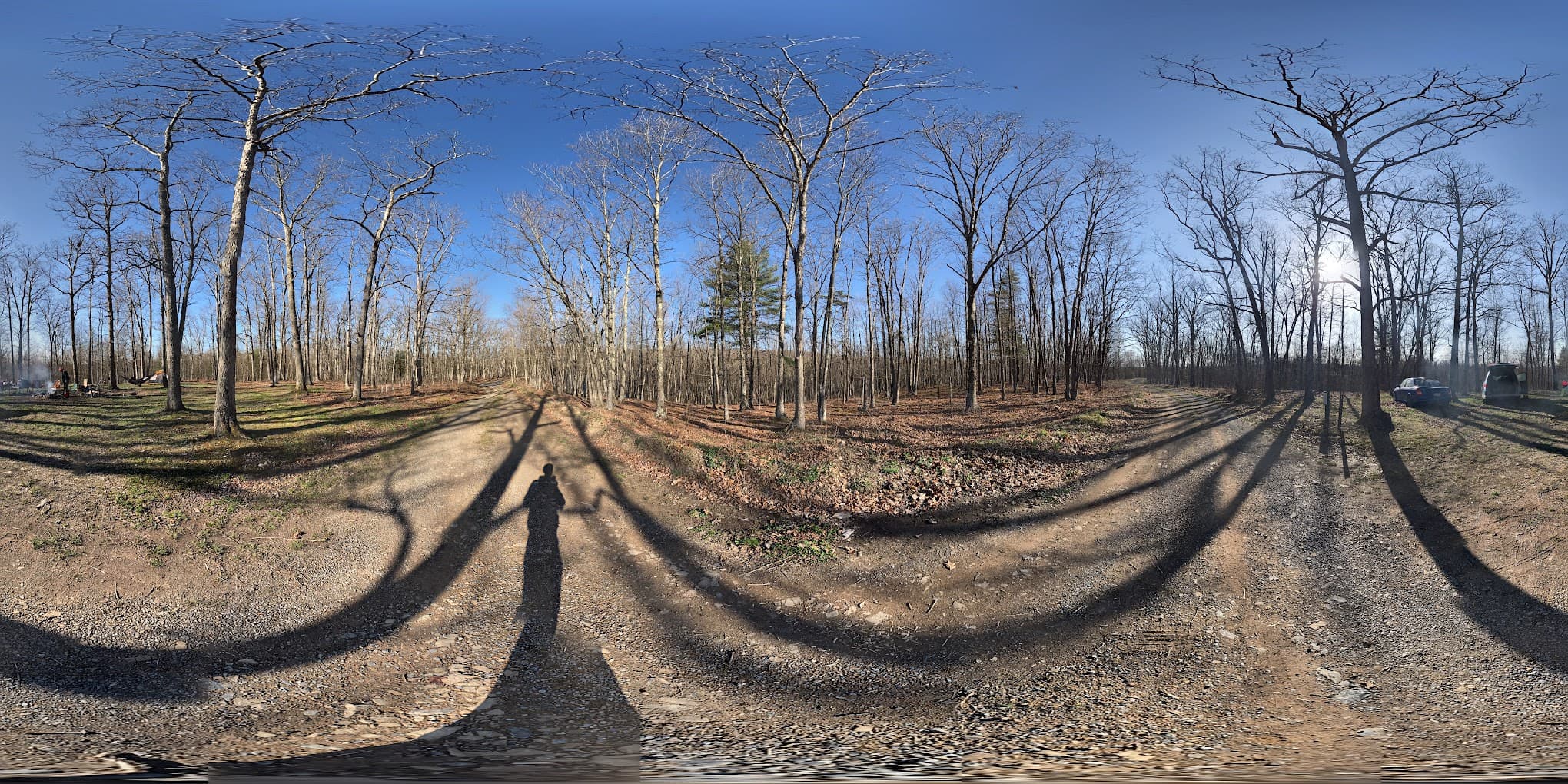 Green Ridge State Forest Campsite 21
