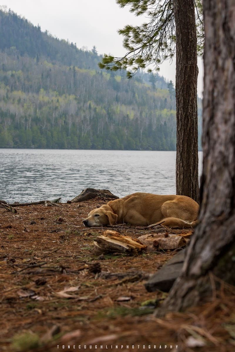 BWCA Campsite #726