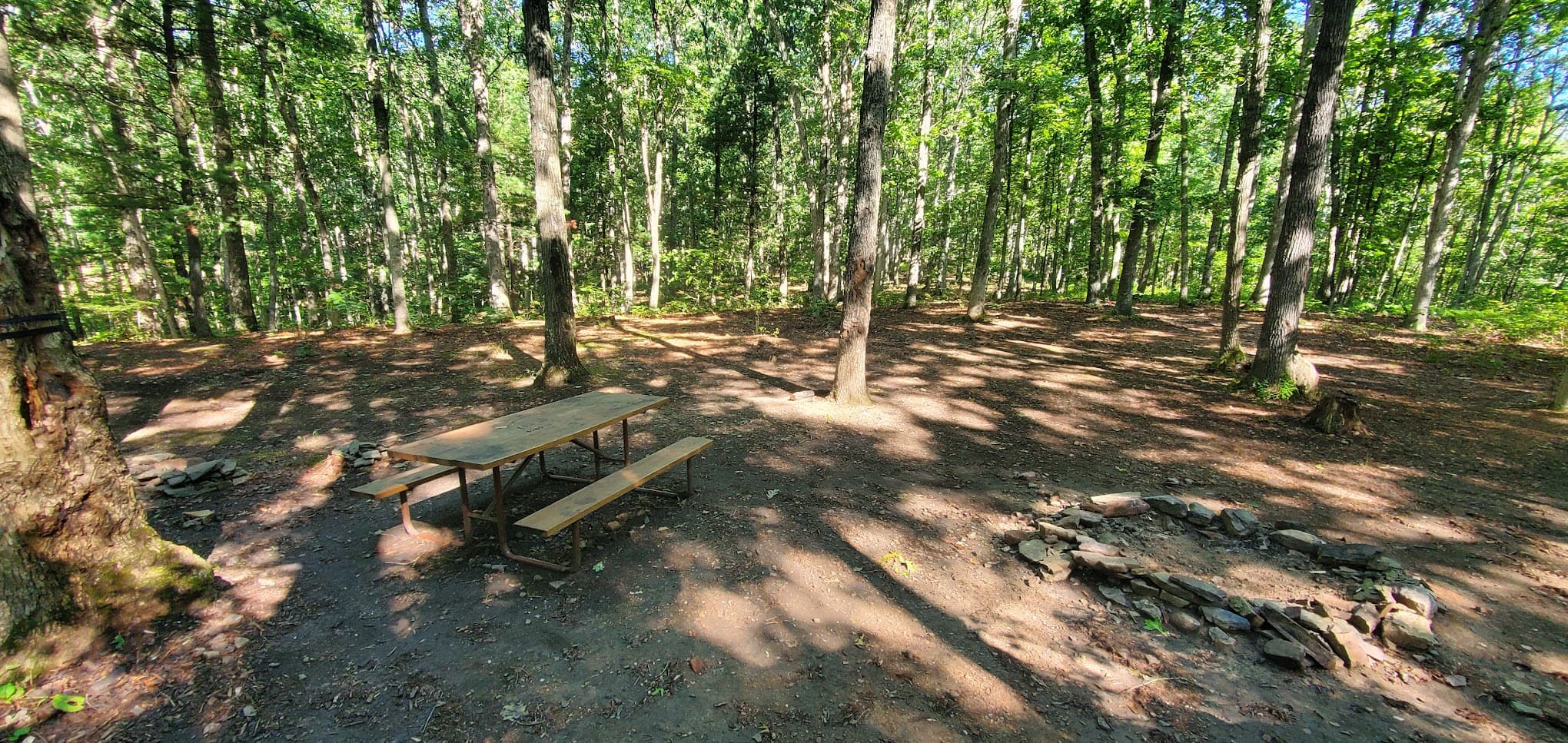 Green Ridge State Forest Campsite 17