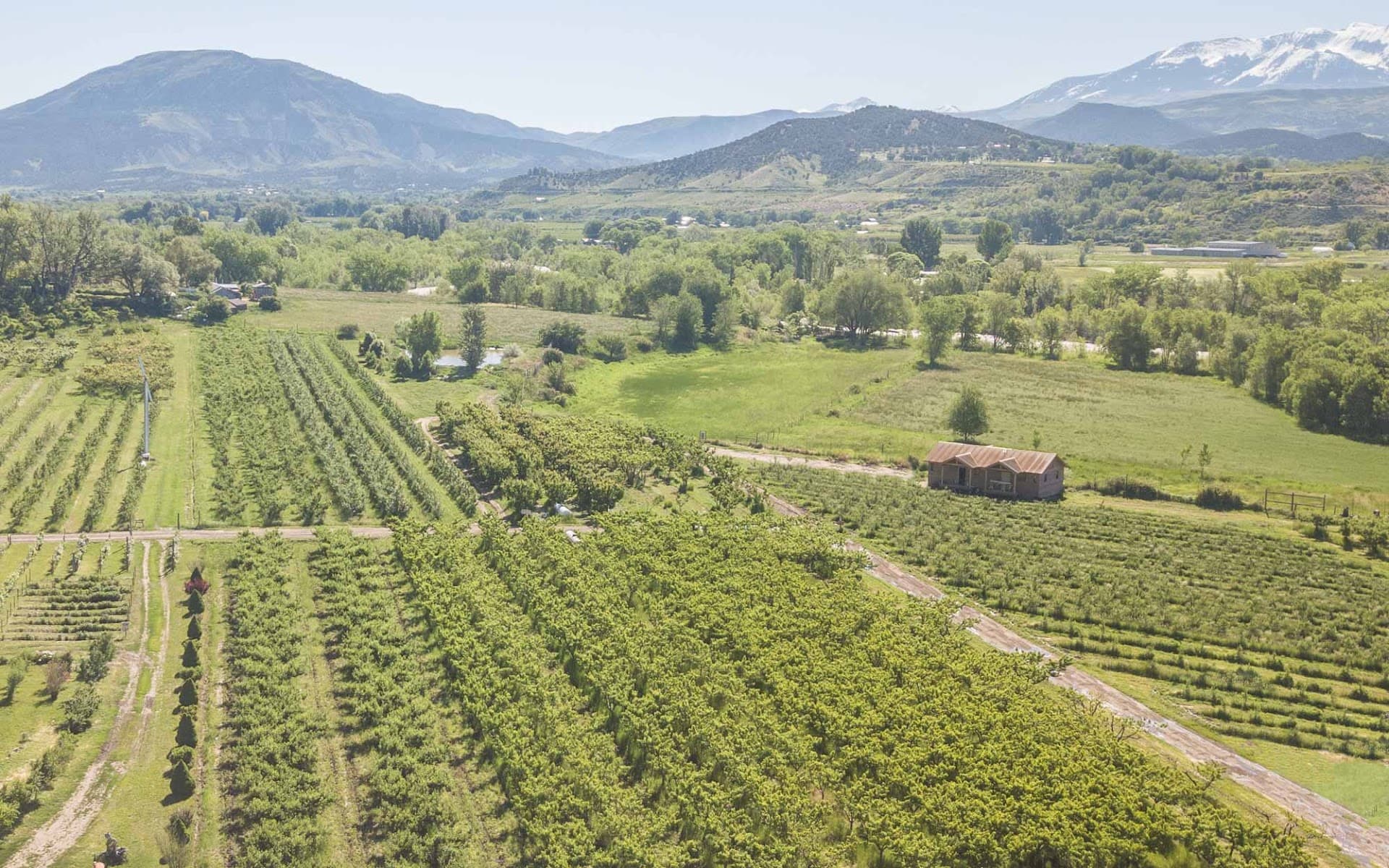 Camping at Big B's Delicious Orchards