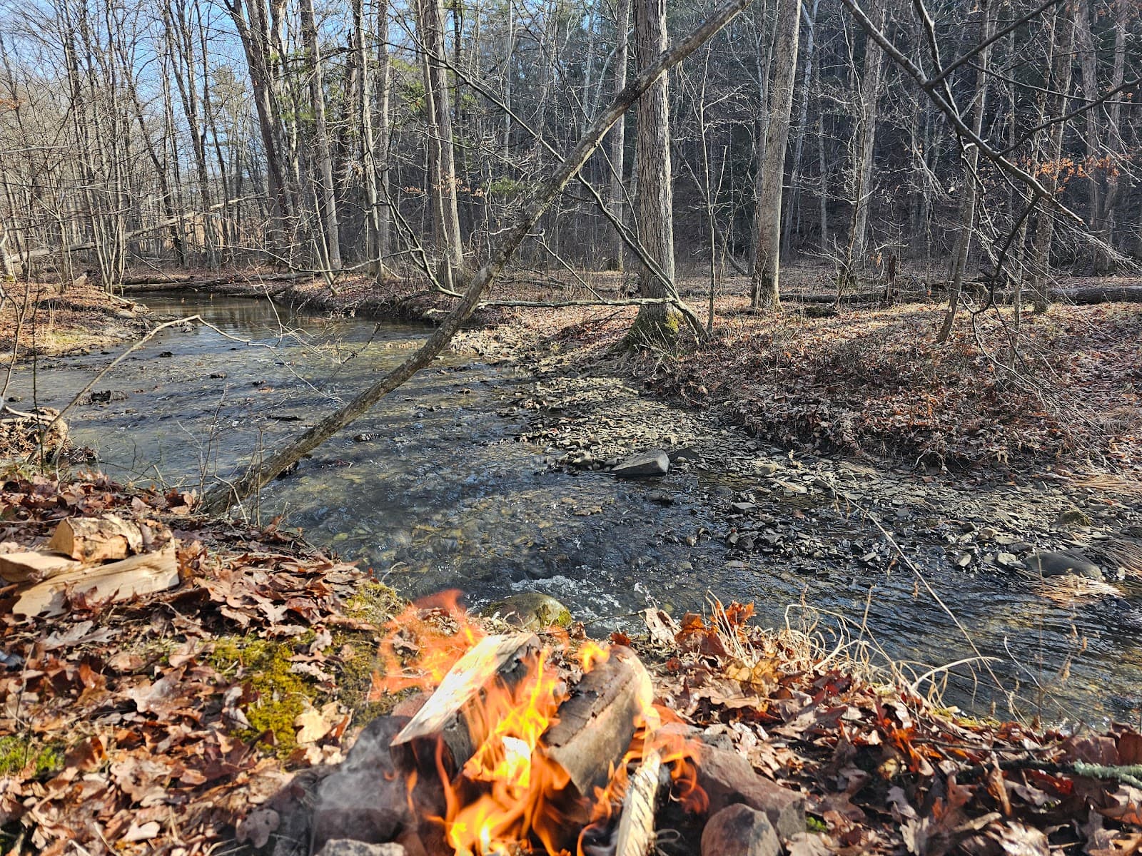 Green Ridge State Forest Campground #3