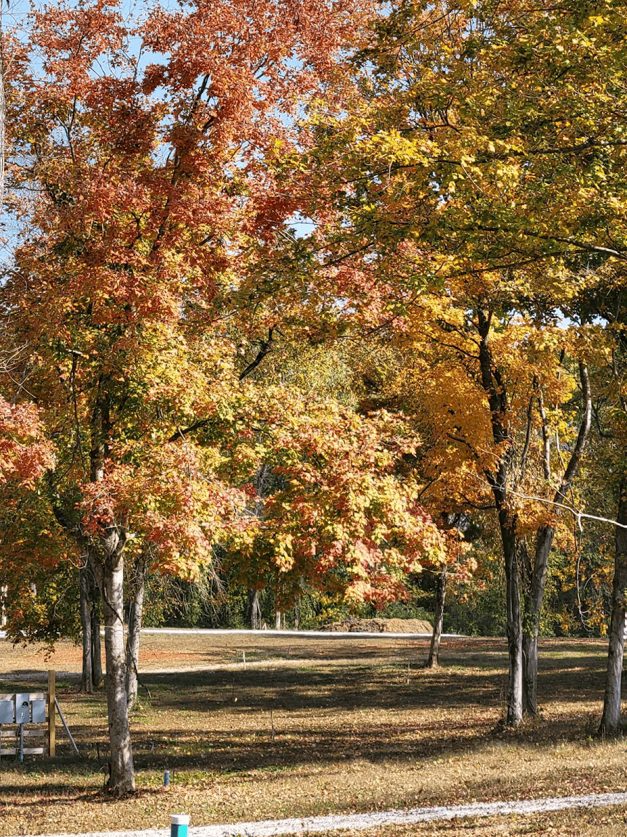 Happy Trails RV Park