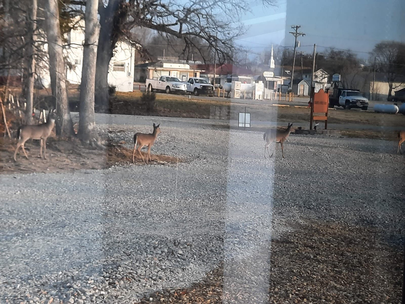 Deer Rest Campground