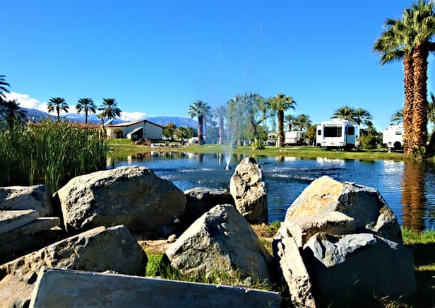 Oasis Palms RV Resort